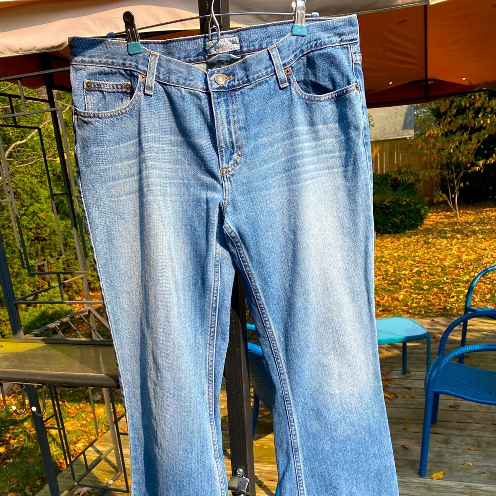 American Eagle Hipster flare 14 long